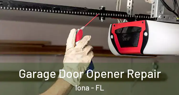  Garage Door Opener Repair Iona - FL