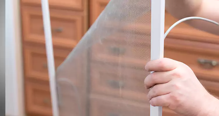 Privacy Mesh Screen Door Installation in Iona, FL